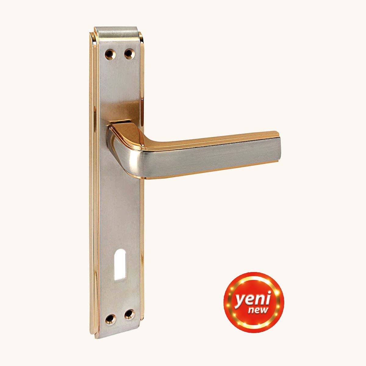 ZAMAK ANKA  SEYHAN AYNALI NİKEL SATEN YALE