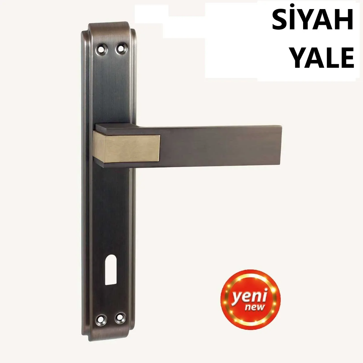 ALÜ.ASUDE ANKA AYNALI MAT SİYAH YALE