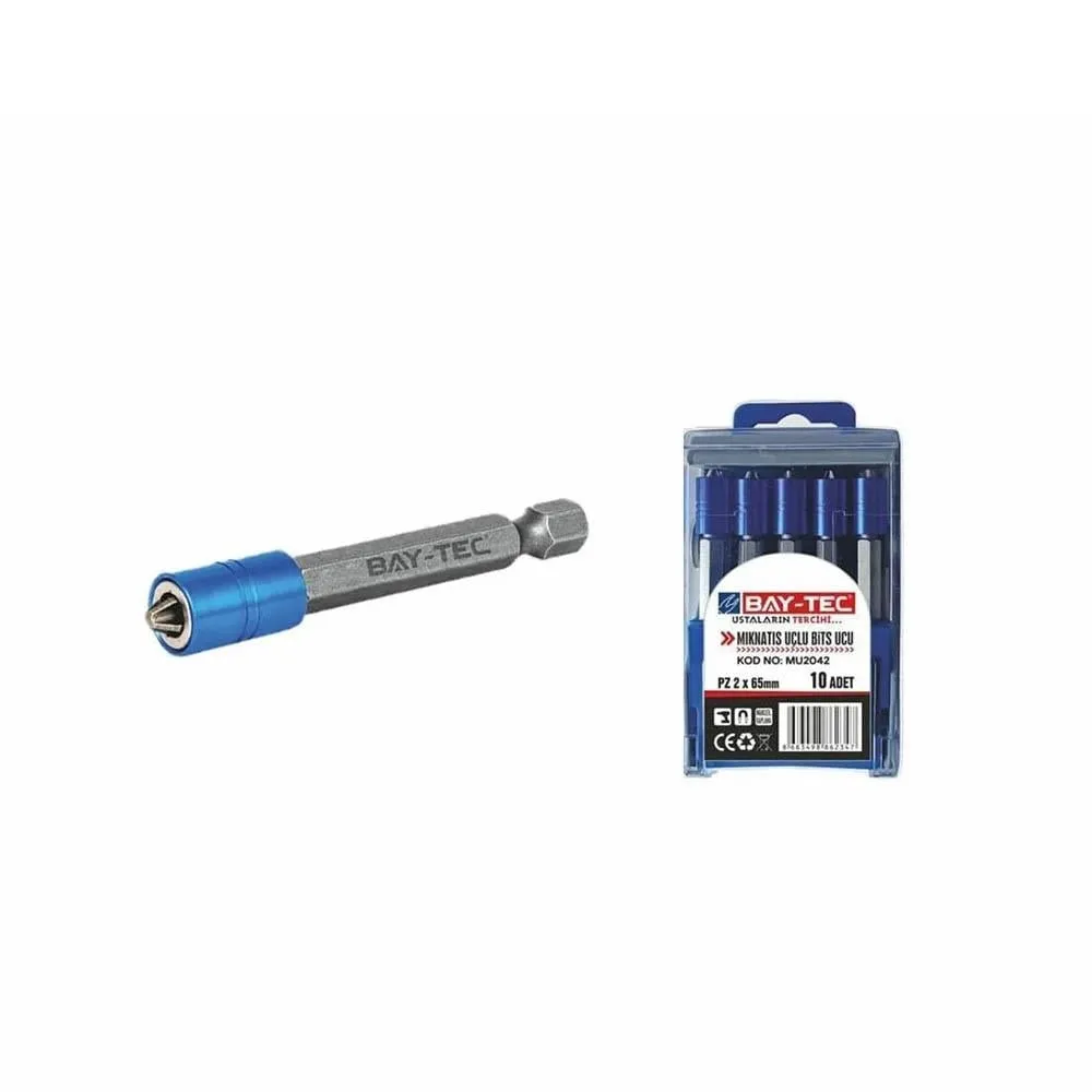 BAY-TEC MIKNATIS UÇLU BİTS UCU PZ2X65 MM2