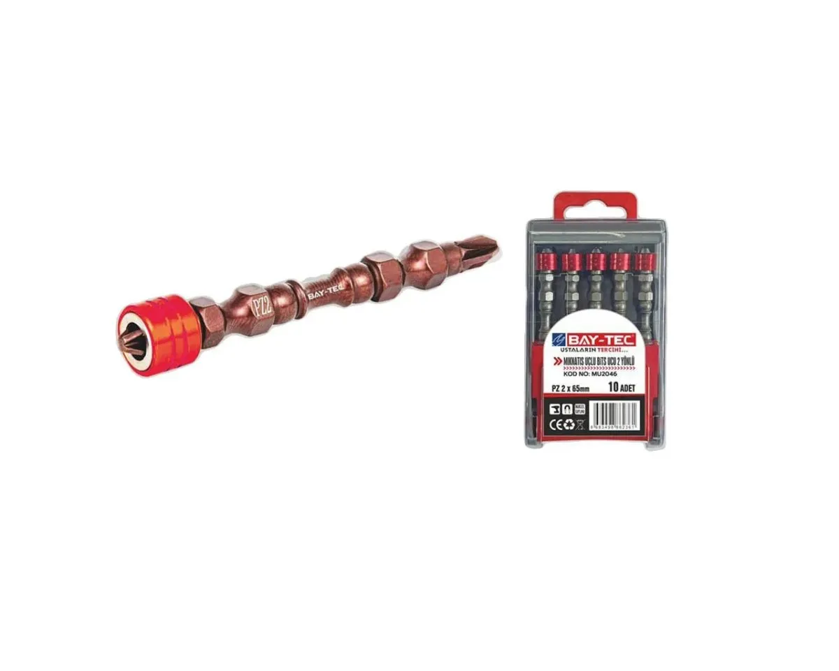 BAY-TEC MIKNATIS UÇLU BİTS UCU 2 YÖNLÜ PZ2X65 MM